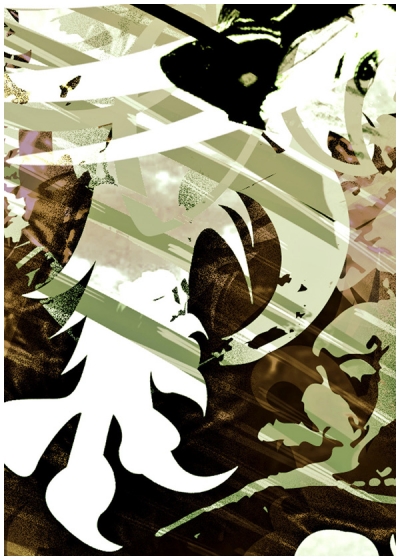 Tiger & Dragon